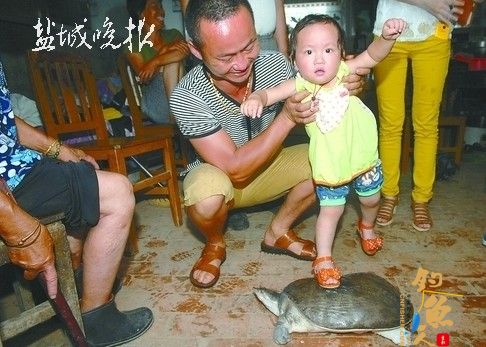 江苏盐城一村民在通榆河中捕出6.4公斤大甲鱼 图