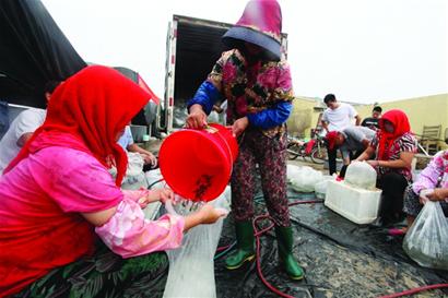 青岛的近海渔业资源 复苏 十万尾鱼被放流“反哺”大海 一年半后可收获