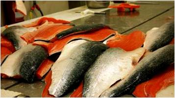 美国因在鲑鱼批次中发现结晶紫(CV)，拒绝进口Marine Harvest智利分公司鲑鱼产