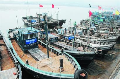 9月1日休渔期正式结束 青岛数万渔民将出海打鱼 图