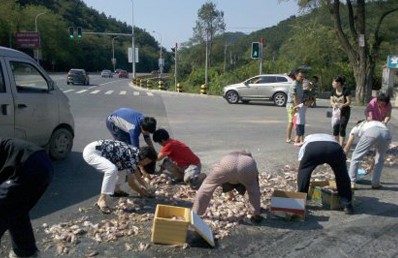 货车甩一地鱼 十余人争着捡 现场图