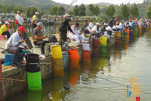 老健会钓鱼活动泸西落幕 亲近自然身心愉悦 高清图