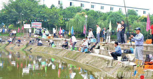 江津区运会钓鱼比赛收竿 通信和几江街道分获组别冠军