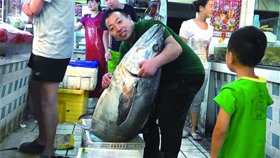 组图  青岛海鲜老板获198斤大鲅鱼 食道中发现野生鲳鱼 