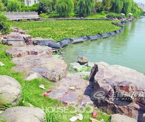 垂钓踩平草地 随手乱丢垃圾 梁溪河景观带很“受伤” 组图