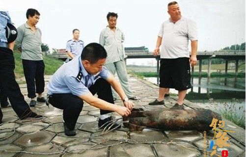  组图 安阳市民河边钓鱼 鱼没钓到却钓出一枚炮弹