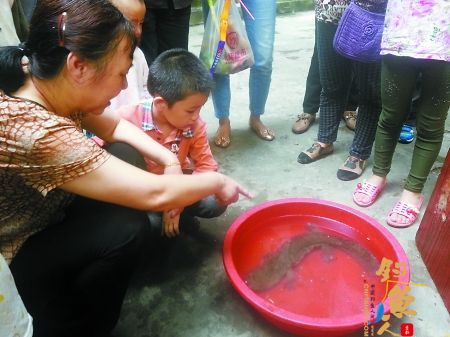 夫妻俩夜钓江浪送来条娃娃鱼 现场图 当场有人高价买