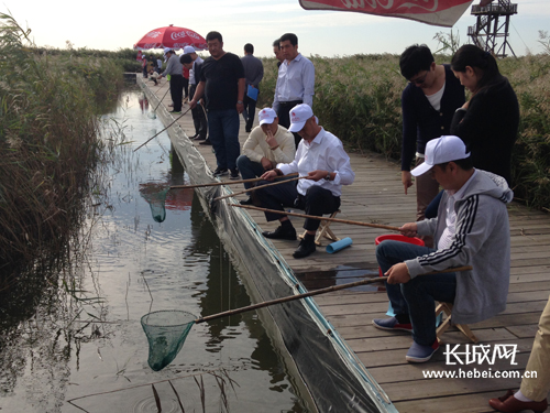 第二届曹妃甸湿地渔乐节精彩呈现 秋风唤 鱼蟹欢 