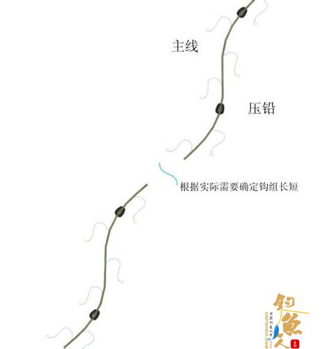 钓鱼图解技巧 推荐5种十分有效的钓鱼技巧 方法 步骤 图