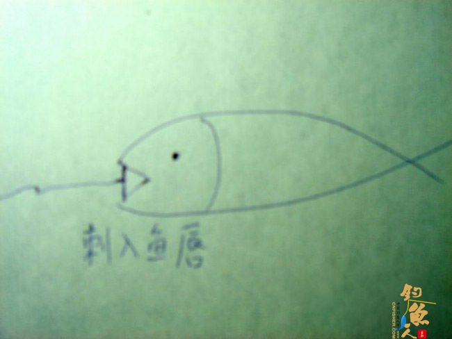 介绍一种原始的钓鱼方法 配图 配解说