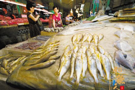 高档鱼类数量偏少 宁波东海海鲜供应日益丰富 