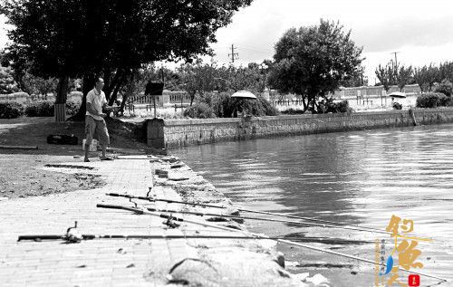 组图 松江野钓者钓上半米长"大甲鱼" 专家判断为"佛罗里达鳖" 