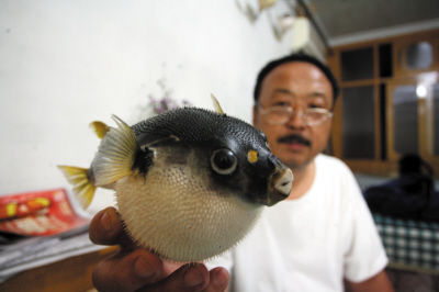 组图 小吃店老板独门绝技 剥鱼皮做标本栩栩如生