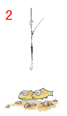 台钓入门 配图解