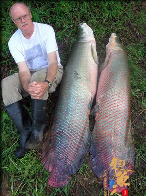 清水治污专项行动成效喜人 消失20多年的石斑鱼回归