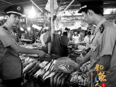 连江执法人员在凤尾农贸市场查获河豚30余公斤