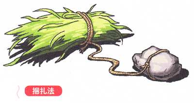 钓草鱼打窝技巧:草类饵打窝法 捆扎法