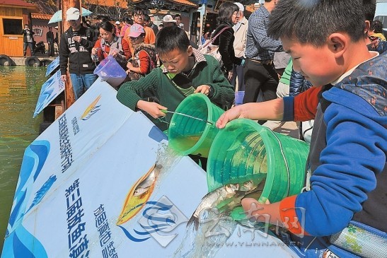 “2013放鱼滇池生态保护行动”启动 近万人参与 组图