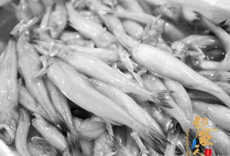 雅俗共尝的“东海小白龙”