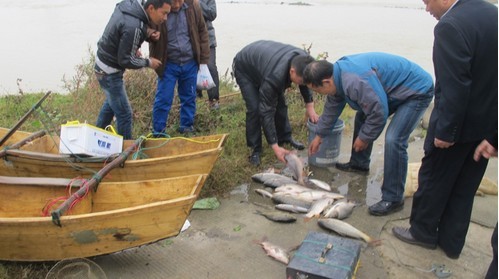 汉中市市渔政部门严查非法电鱼案件 对非法电鱼零容忍