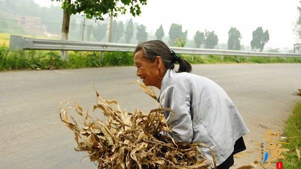 《今年春节我替爸妈下厨房》-中国钓鱼人网2014春节公益倡议