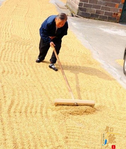 《今年春节我替爸妈下厨房》-中国钓鱼人网2014春节公益倡议