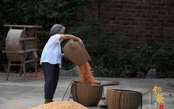 《今年春节我替爸妈下厨房》-中国钓鱼人网2014春节公益倡议