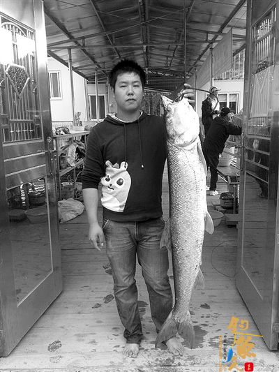 顺昌：钓鱼者钓到一人高的“淡水霸王鱼” 图