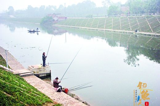 重庆 临江河整治后变清了 钓鱼的人回来了