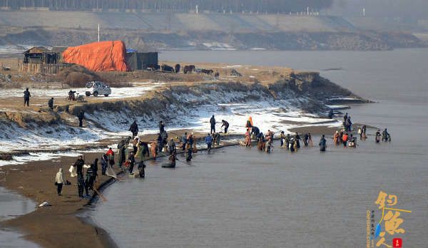 济南市民放生2000斤鲤鱼 数十人下游疯捕捞 组图