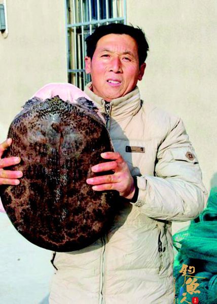 太原男子捕获百岁甲鱼拒绝饭店高价收买后放生 组图