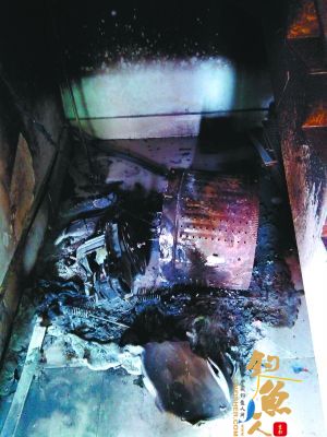 特价洗衣机自燃娇贵观赏鱼死光 事发广州图