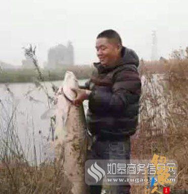 江苏南通一男子钓上巨型乌青鱼 长120厘米重47斤 图