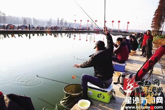 长沙县2013年首届钓鱼比赛在农大竞技池开赛 图