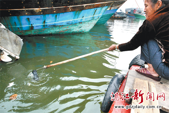 赞美哪些最美的人,也说海上垃圾"清道夫" 图