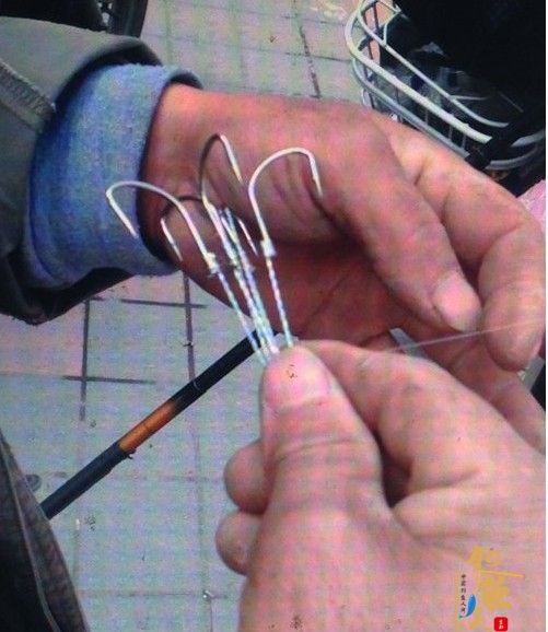 福州琴亭湖旁钓客用爆炸钩钩鱼 对生态影响大 图