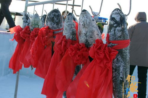抚顺满族冬捕节头鱼卖出15万 图