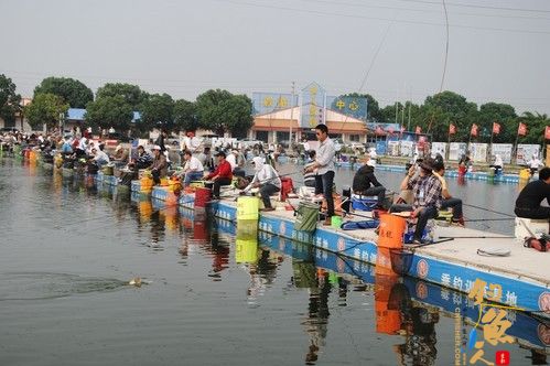 英大钓具杯迎新春钓鱼比赛 图