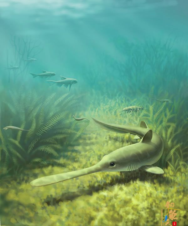 科学家发现3.1亿年前鲨鱼“托儿所” 组图
