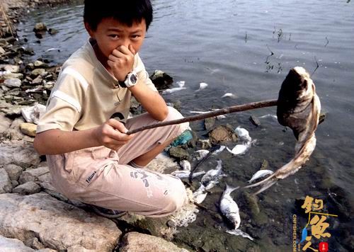 江苏句容河漂浮死鱼：初步认定人为倾倒有害物质