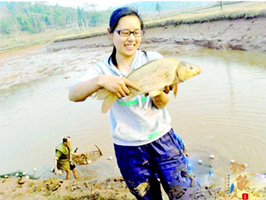 大学生搞仙桃鸡 粪便养鱼成本低