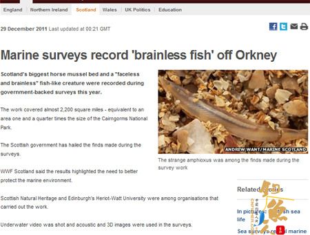 苏格兰发现史前怪鱼 “无脑无脸”令人称奇 图