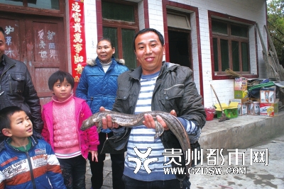 遵义一男子钓到一条重达1.9公斤娃娃鱼放归大自然 图