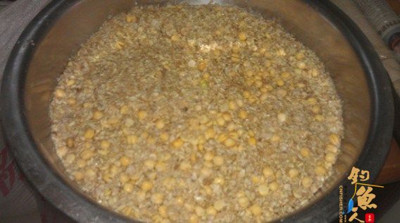 自制糟食鱼饵(适用水库垂钓大型鱼类) 多图