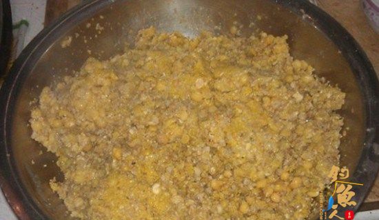 自制糟食鱼饵(适用水库垂钓大型鱼类) 多图