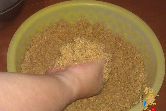 自制糟食鱼饵(适用水库垂钓大型鱼类) 多图