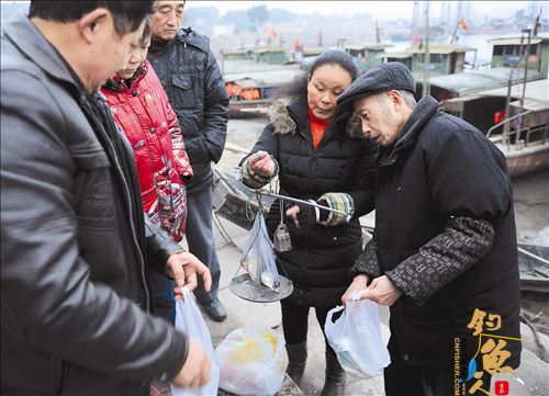 禁渔期南充龙门码头有人出售野生鱼