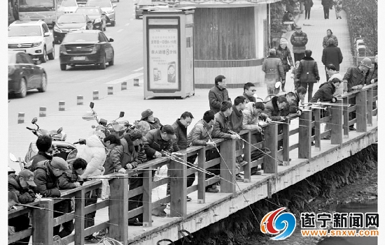 遂宁市民只为娱乐自己 众多市民渠河边钓鱼 殊不知此处禁止钓鱼