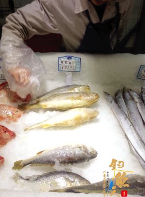 超市“黄花鱼”竟然也掉色 标签藏“玄机”