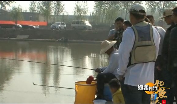 四海钓鱼频道钓鱼视频222化老师钓黑坑(三)